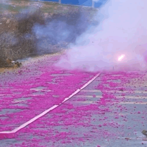 image_763F2FA9-C4E5-46DF-A61F-DB2E24E5049B_1768019511