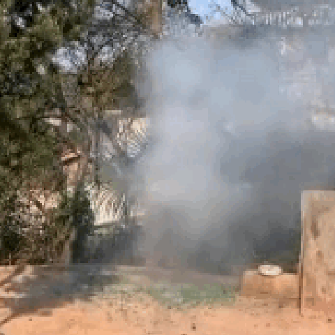 image_E9E10DD1-C5C8-4767-B5C7-EE996FD8B4F0_1768023425