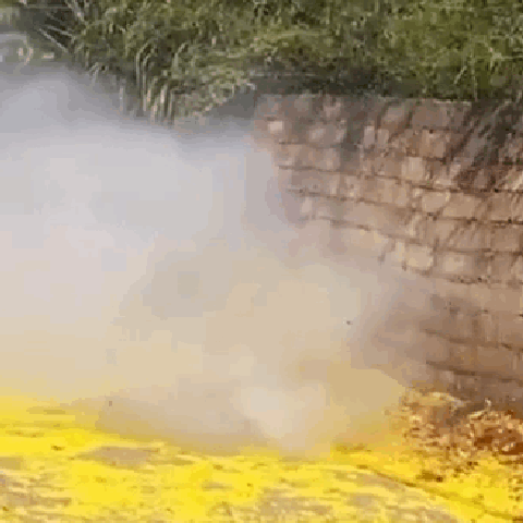 image_2CA7793B-34E8-44F9-9F89-CD8F6C8C01CE_1768023718