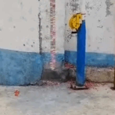 image_2387253F-B63D-4E7B-A8D3-B4865C7DC3D6_1768023930