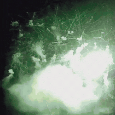 9138发江蓝特别版