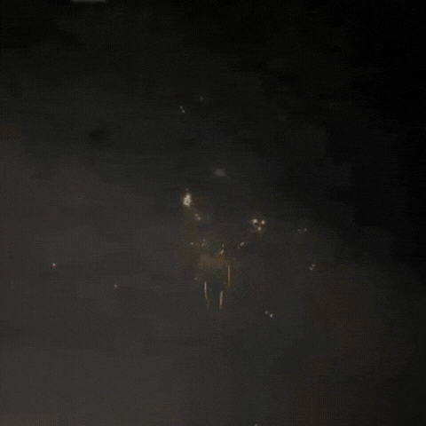 9156特别版狼叫2