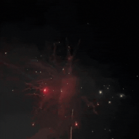 9138特别版 (狼叫)