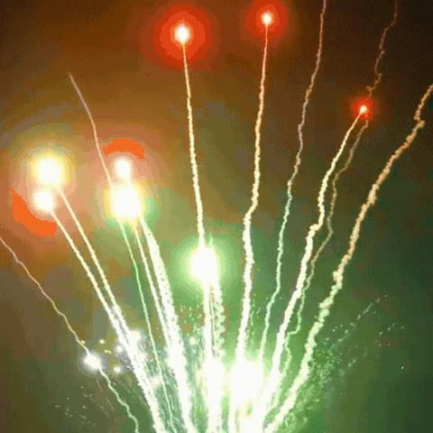 5138+18=156发盆花 特别版