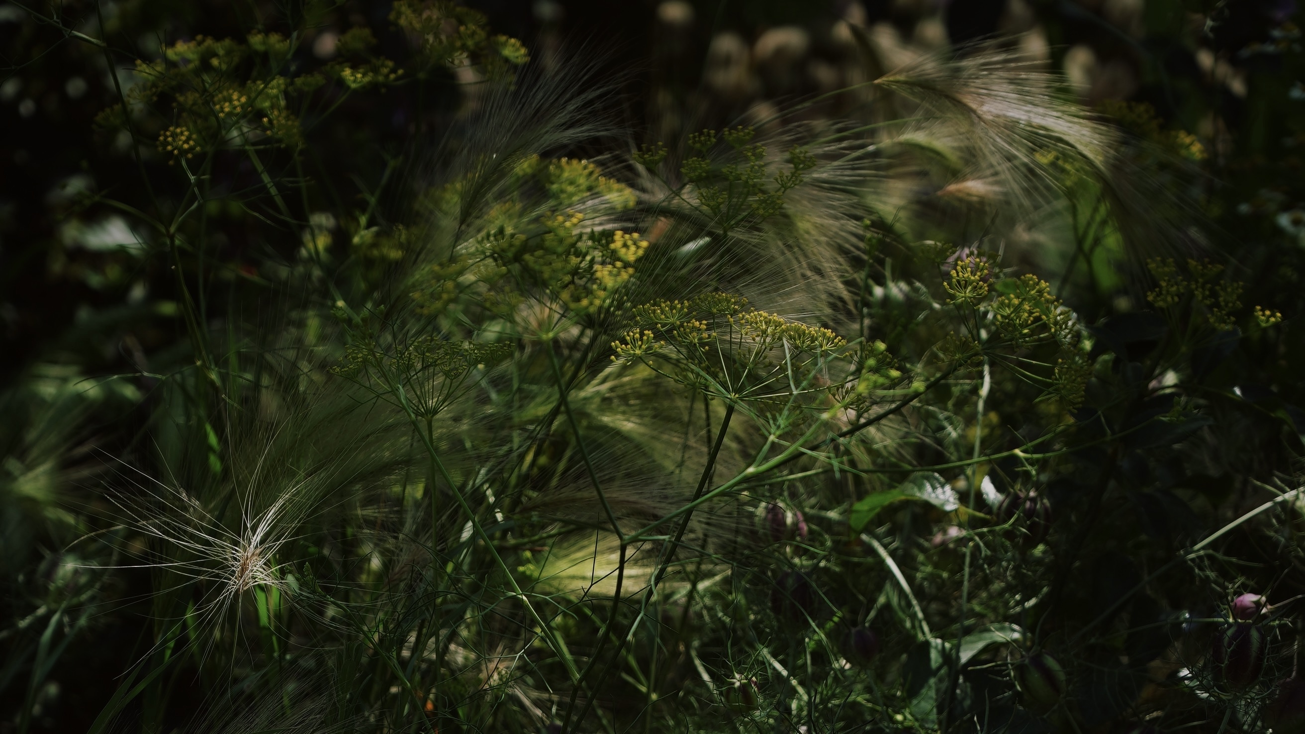 D2736CB9-E124-4F6C-ADDD-11CC96D481DF