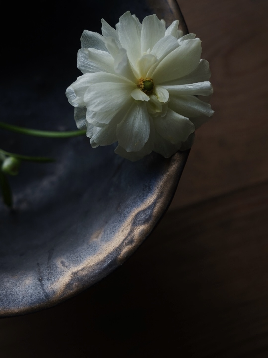 FullSizeRender_VSCO 7