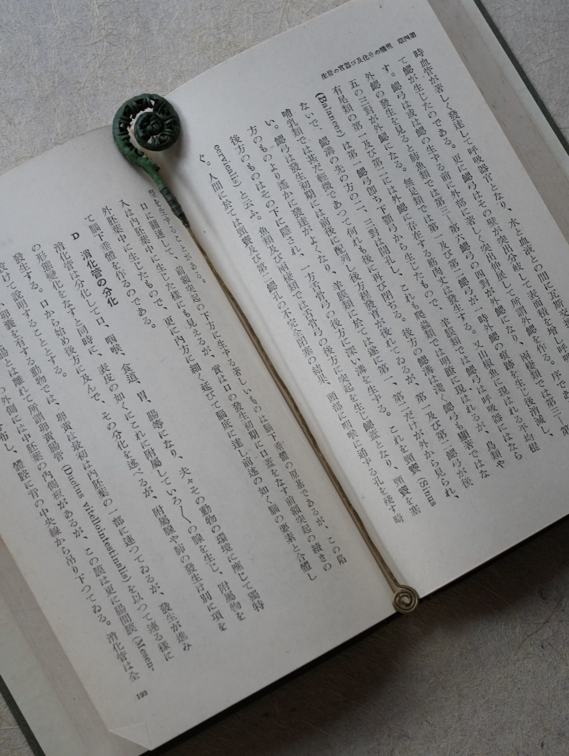蕨類baby書籤-4