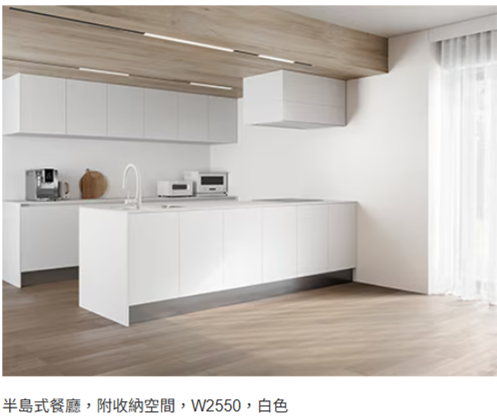 螢幕擷取畫面 2026-03-09 132902