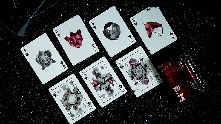 SOLOMAGIA Elemental Master Red Edition Playing Cards by TCC