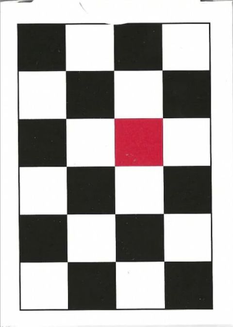 48579879.jpeg?width=480