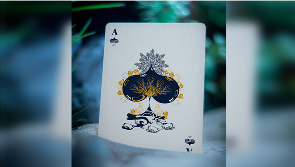 Screenshot 2025-10-27 235145