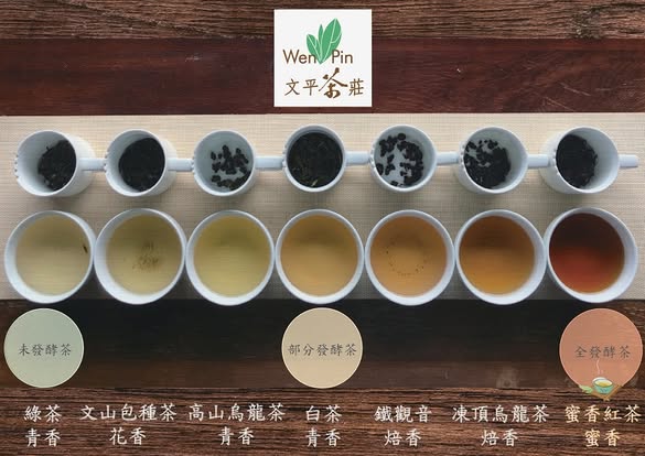 485963962_1072050344940166_6398789191396497395_n