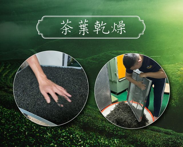 茶葉乾燥