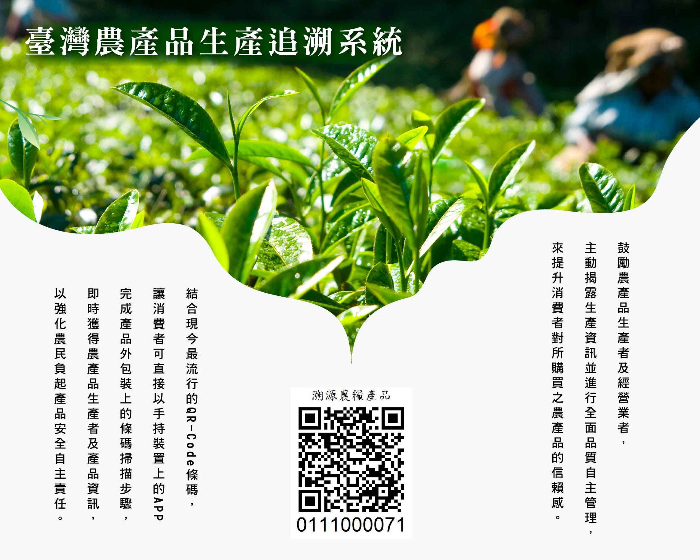 文平茶莊臺灣農產品生產追溯系統_工作區域 1