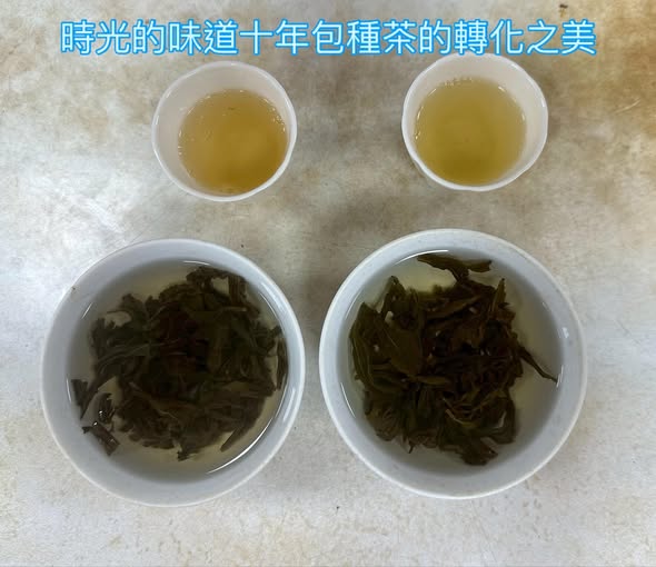 時光的味道｜十年包種茶的轉化之美