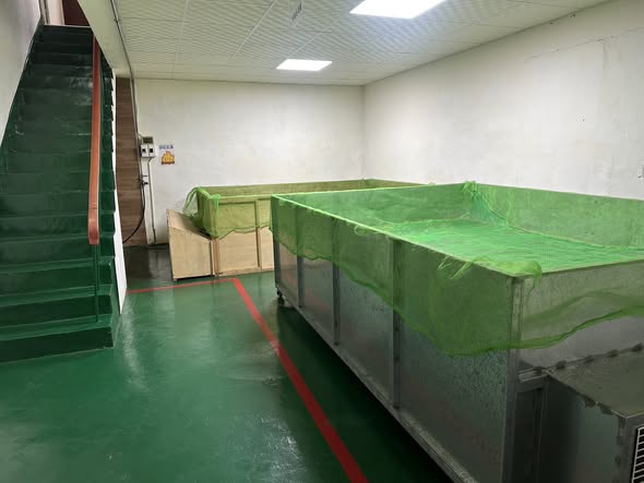 522227333_1168182378660295_1191438941224802089_n