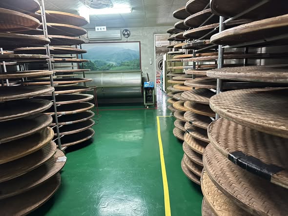 522745932_1168182388660294_4842027448728346040_n