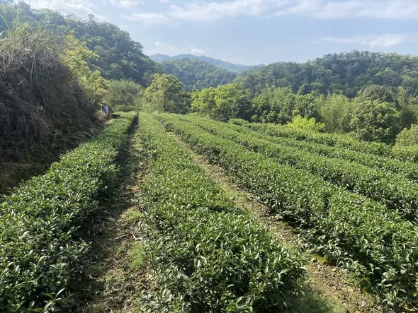 489336121_1085817526896781_4804688381949881353_n