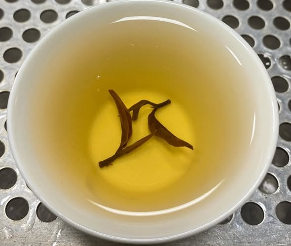 491967726_1092809182864282_6224550487919195173_n