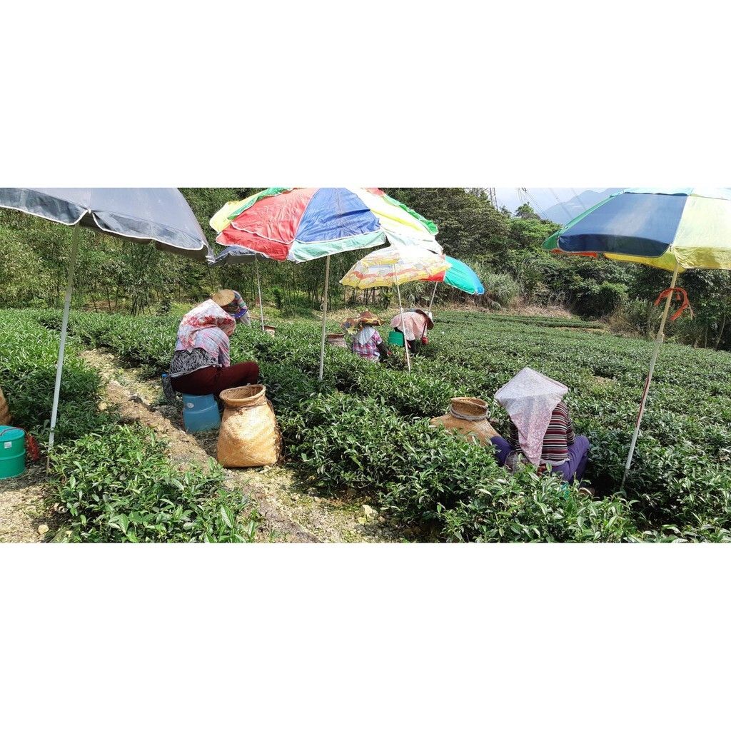 546167b7c03740eee9aa7ff3f9c9e5fe