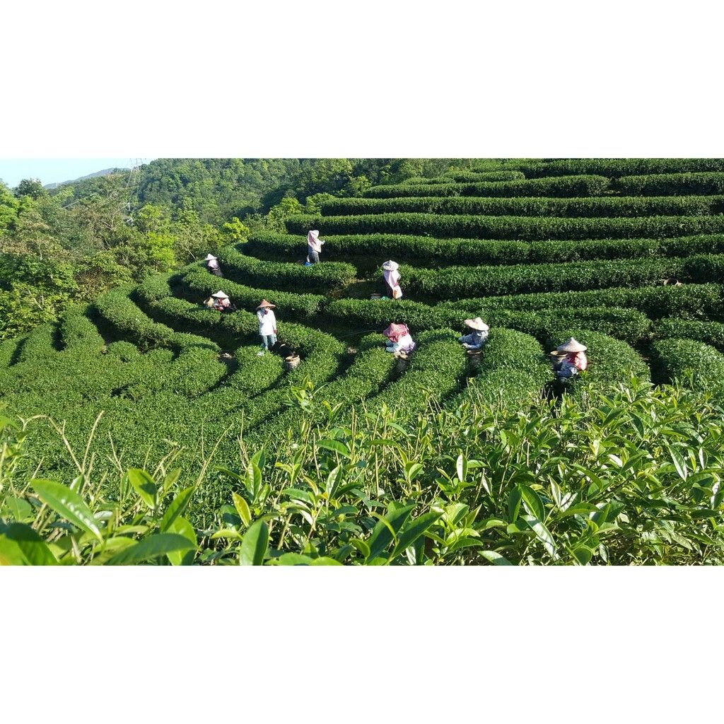 b027b2e009ead5cdceed453c9c6c9524