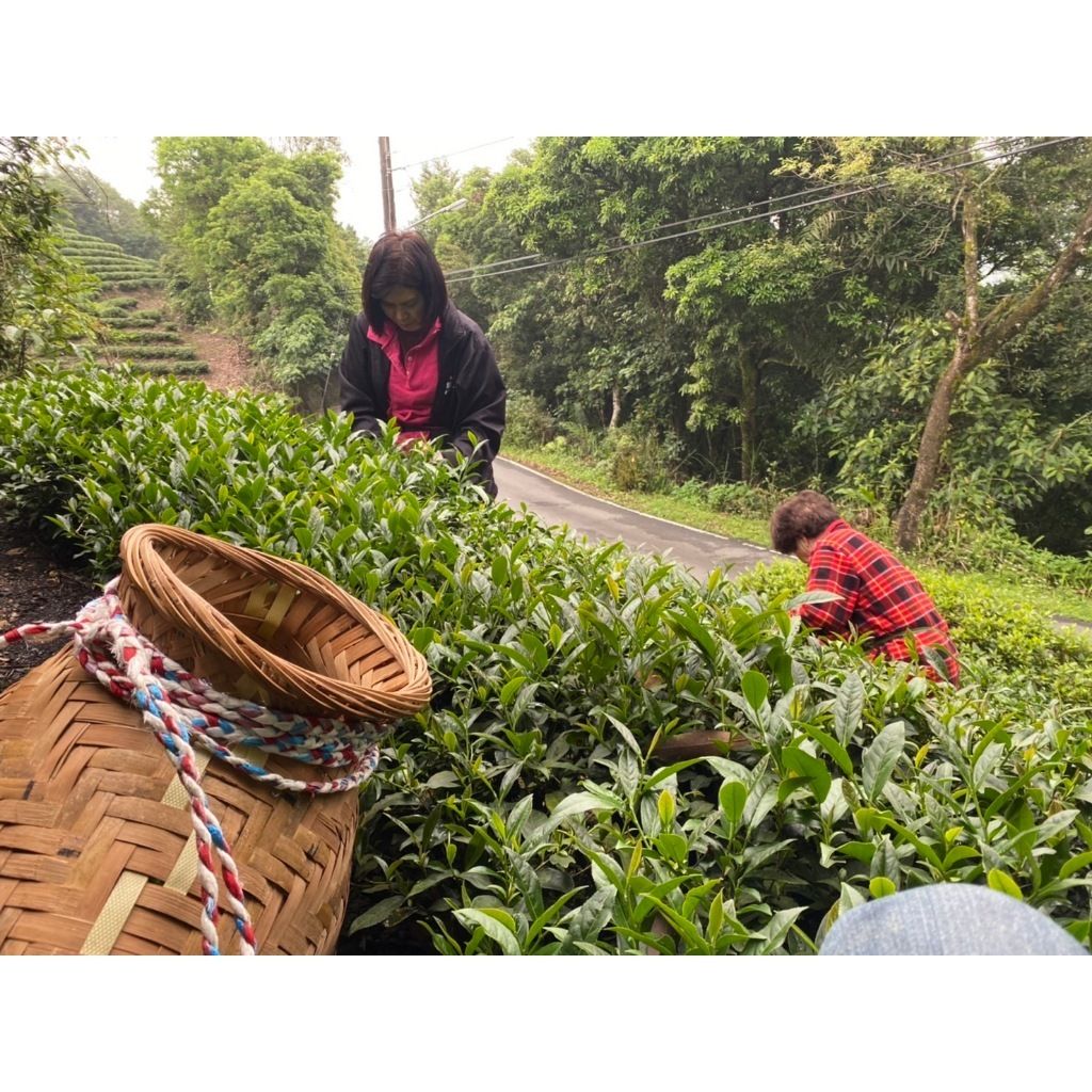 tw-11134207-7r990-lt22yghyil02d2