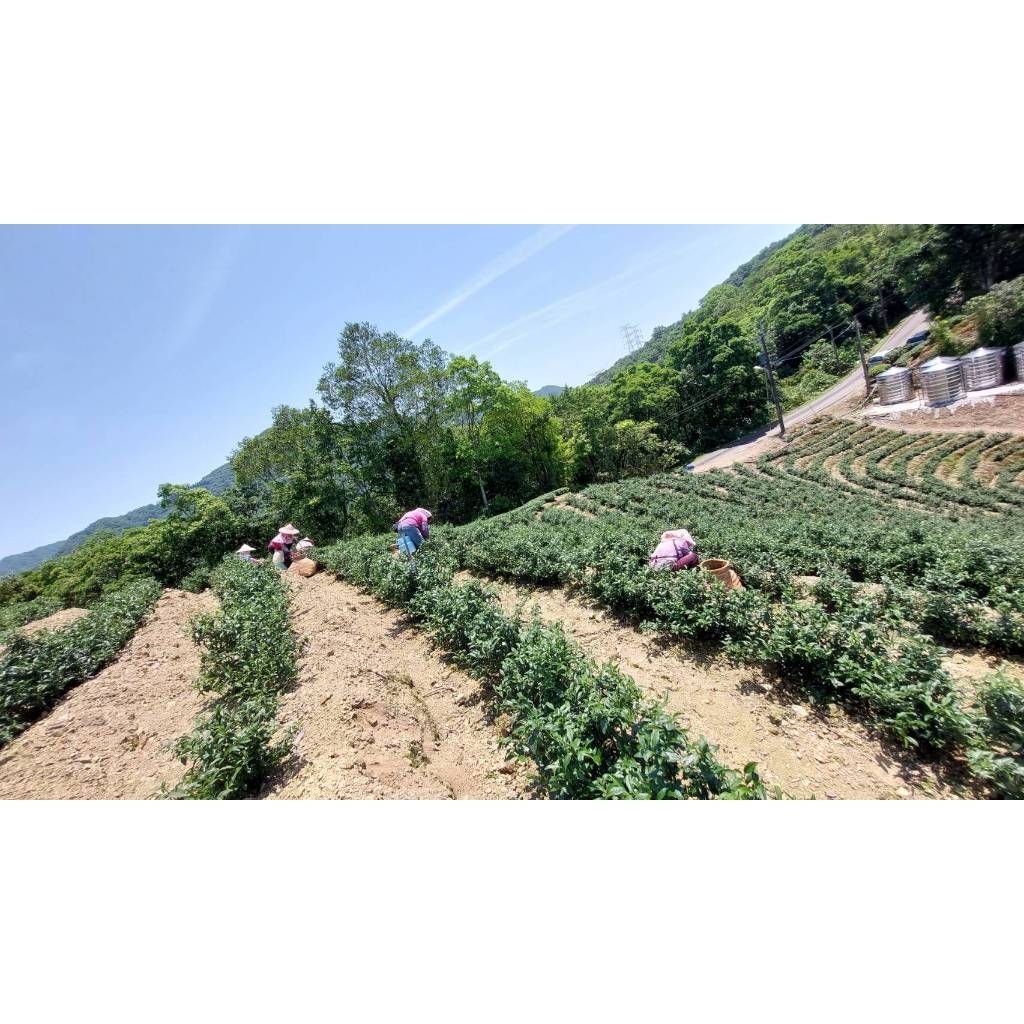 tw-11134207-7ra0s-mb63yd81jmgm9f