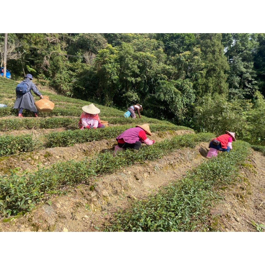 tw-11134207-7qukz-lkd87fpmpxnac4