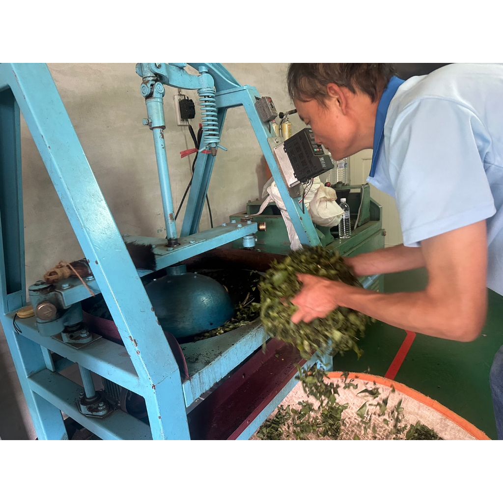 tw-11134207-7qukx-lkd87fpmrc7q55