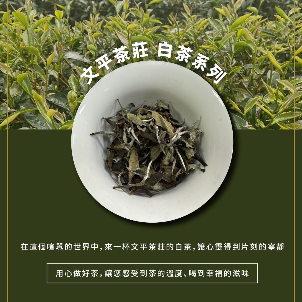 tw-11134207-7rasd-m16rvotxwwd4f6