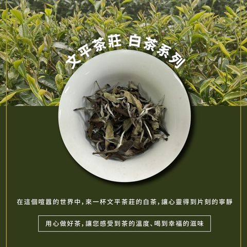 tw-11134207-7rasd-m16rvotxwwd4f6