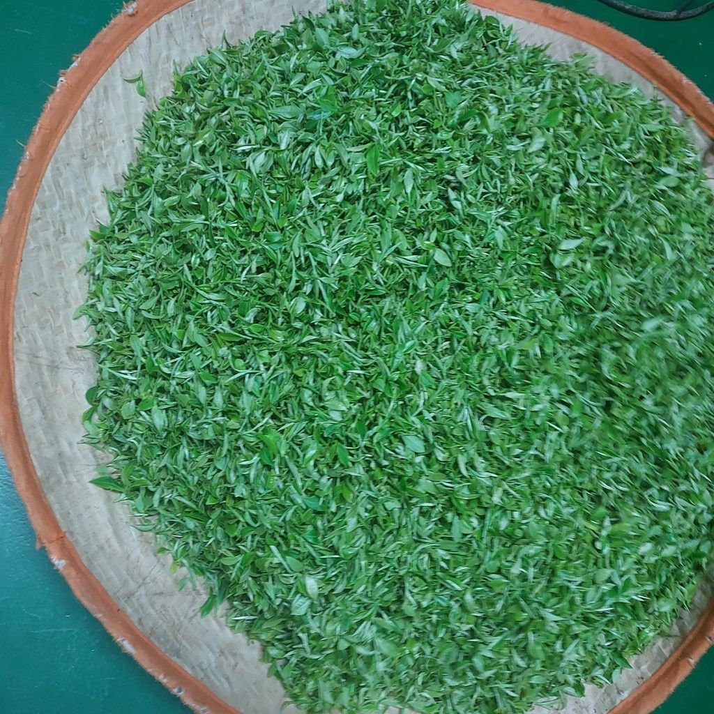 1194689622f5ac69b0938e99a95e4375