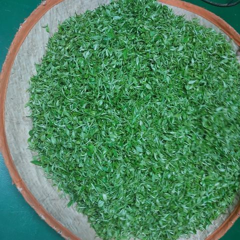 1194689622f5ac69b0938e99a95e4375