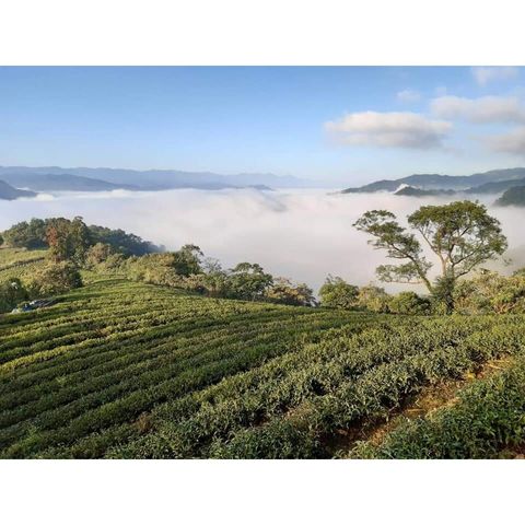 06fbc4602c70b6d44c00b6e4eb430375