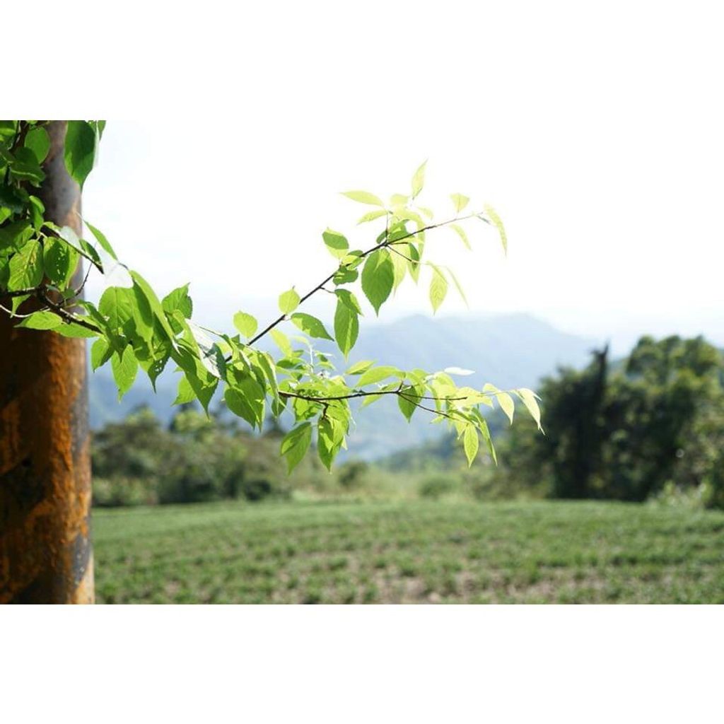 67c5dde1fcf3db3ac79ee7179f0ad9a4