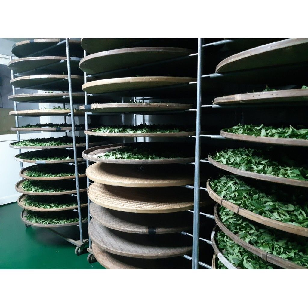 ebf5523b130150fa3164076028d76c5f