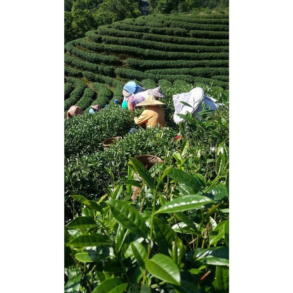 fe53453d523d67534ba08ebbc016ded1