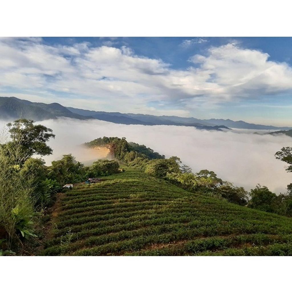 tw-11134207-7r98z-lt22yghy8r0y84