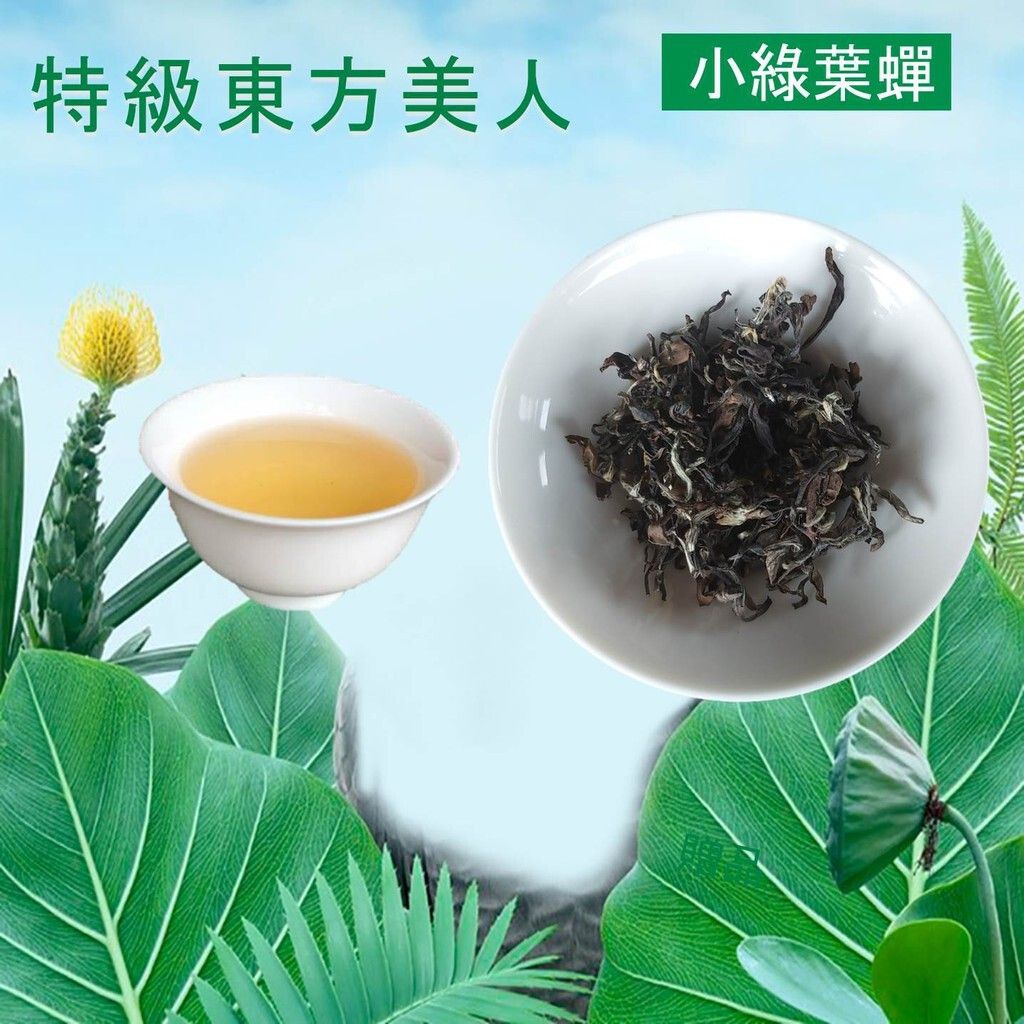 8f9822c683a33d61d65c13a68b3b734f