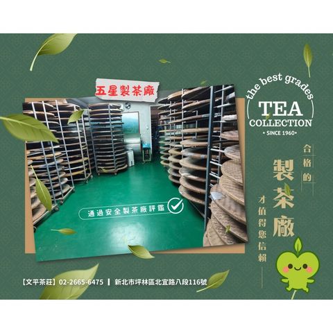 tw-11134207-81ztm-mh5yg7j8r6z116