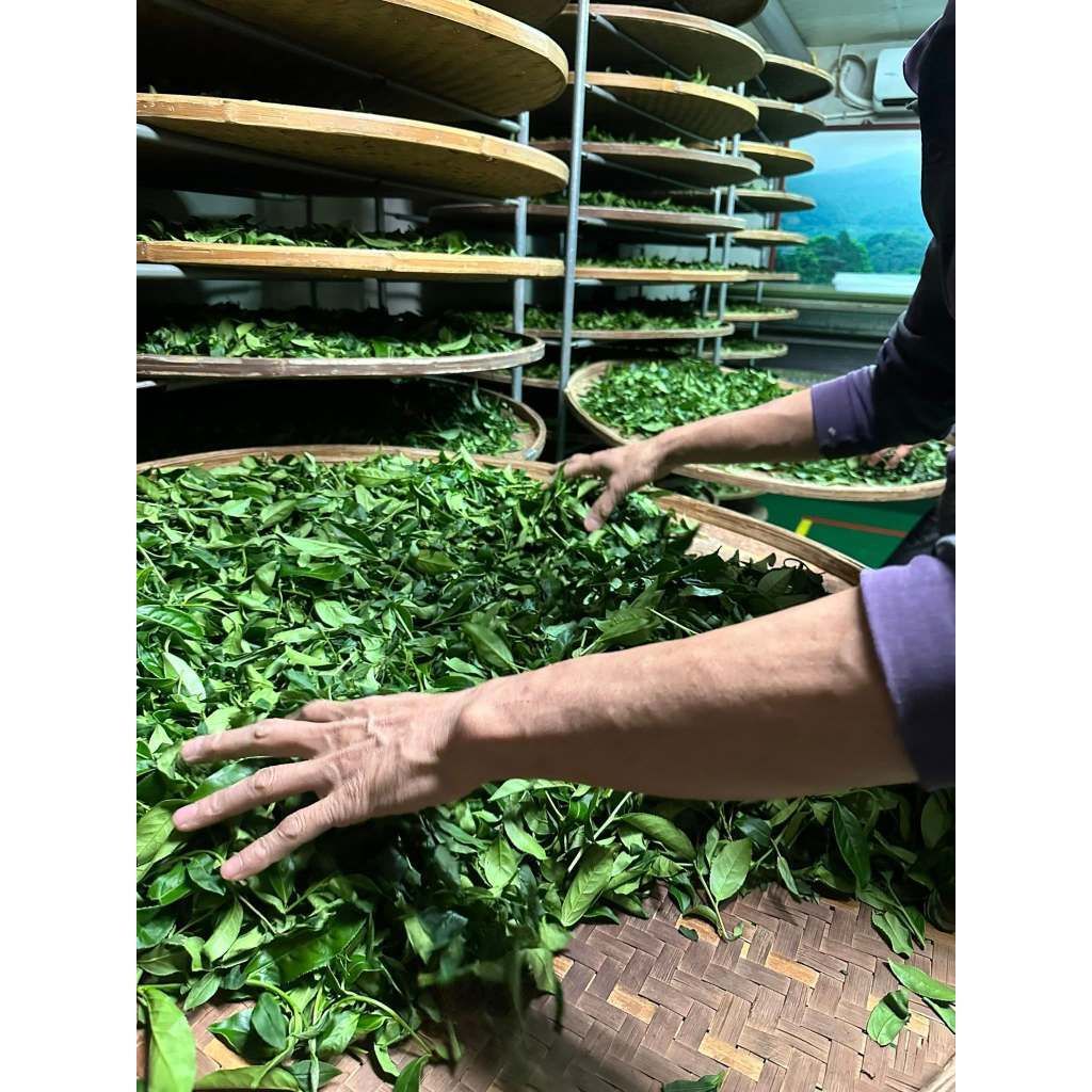 tw-11134207-81ztq-mhgbh8cdbs3kc1