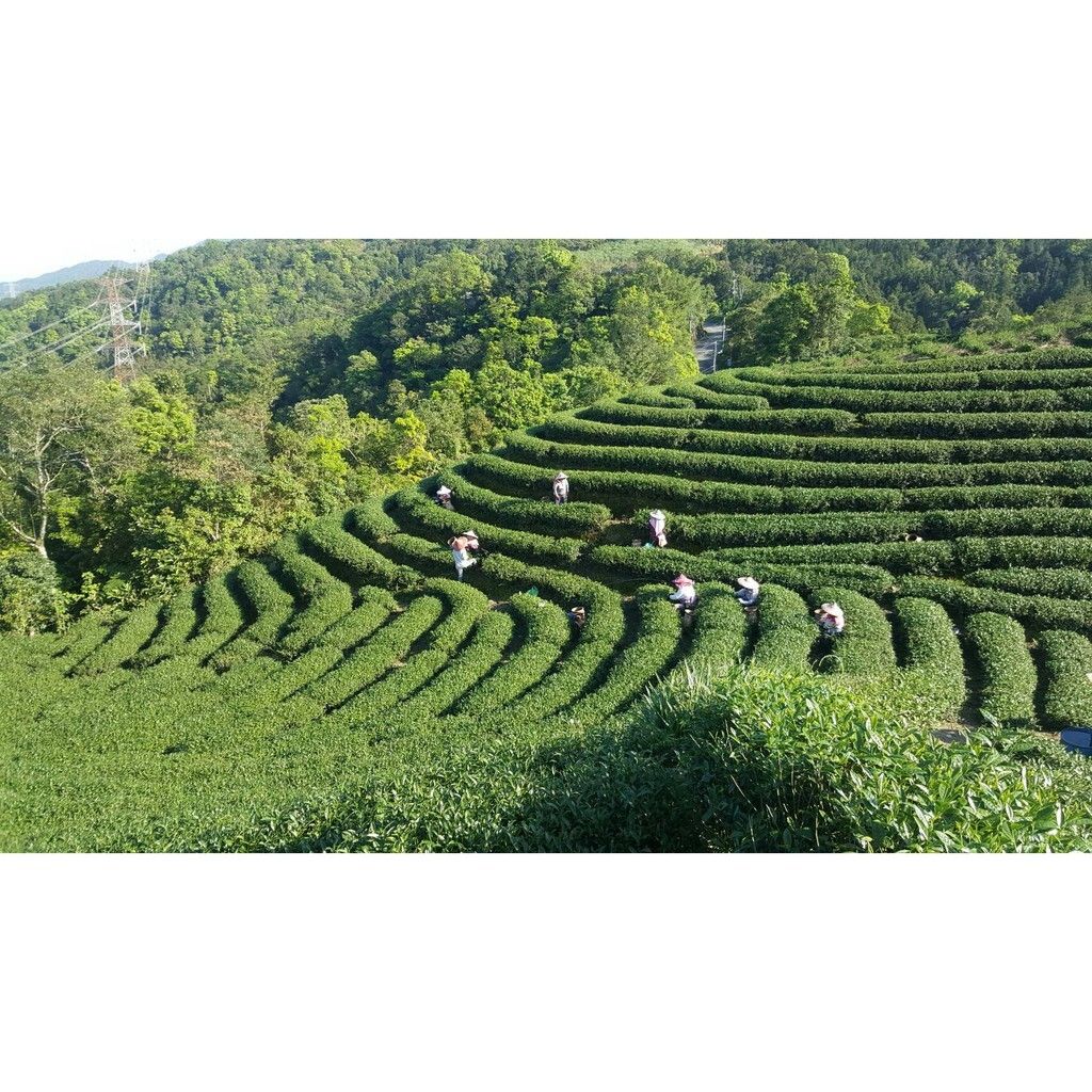 adc78ed6bfd730183a3aca5ccb64b990