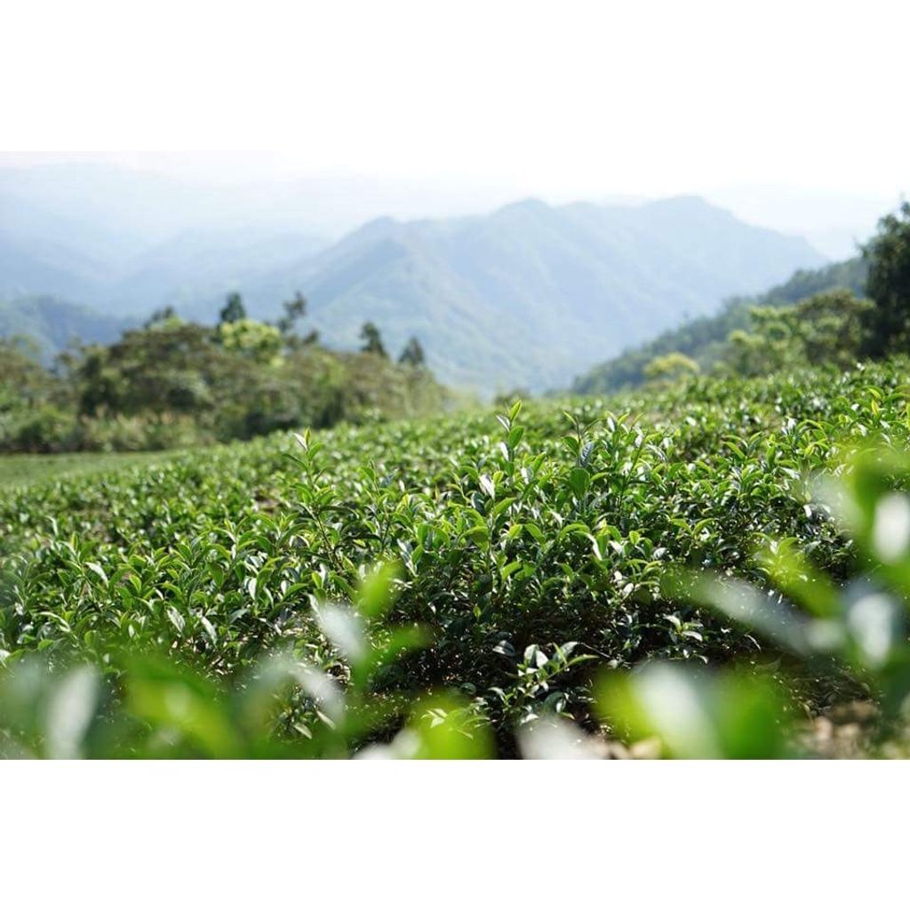 63cc06fb39cd16ab51acc2ceba2ba26b