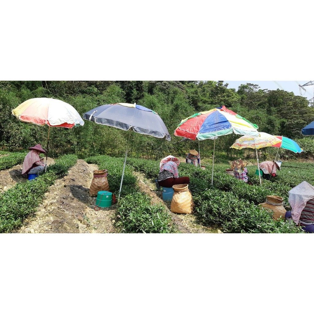 fb8a8e6f83ba5c2888750b12171f378f