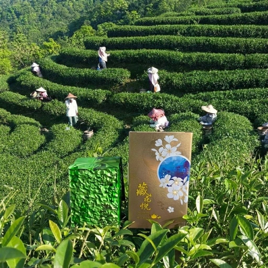 tw-11134207-81ztm-mhwsi1xyrz0ld4