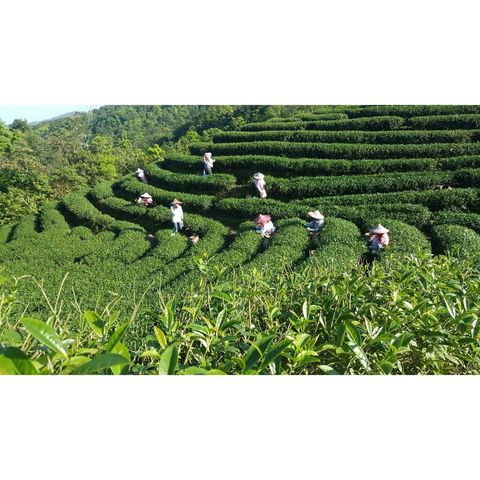 892d383d88e406f9f2df98b57092a6db