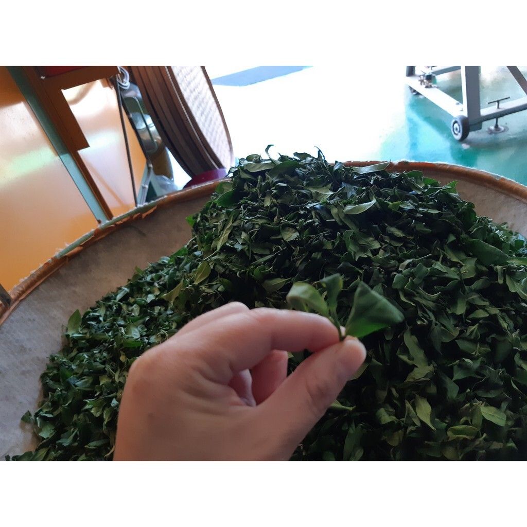 3782951d9ead932ed9953b84157a6924