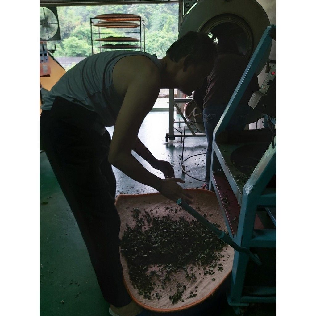 f3532948c9e2318a903be6cce0bee134