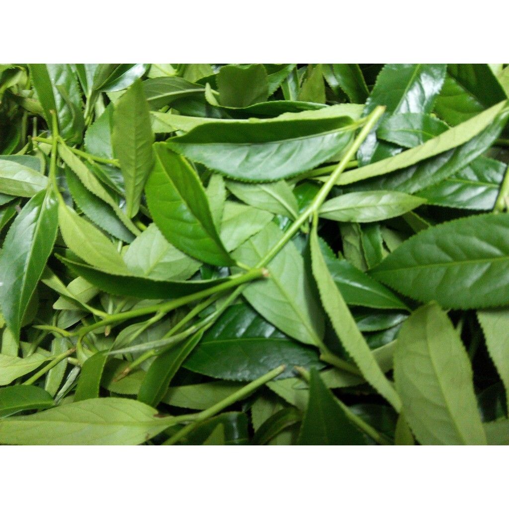 36984ca30ad704bfc465836f88b46ac4