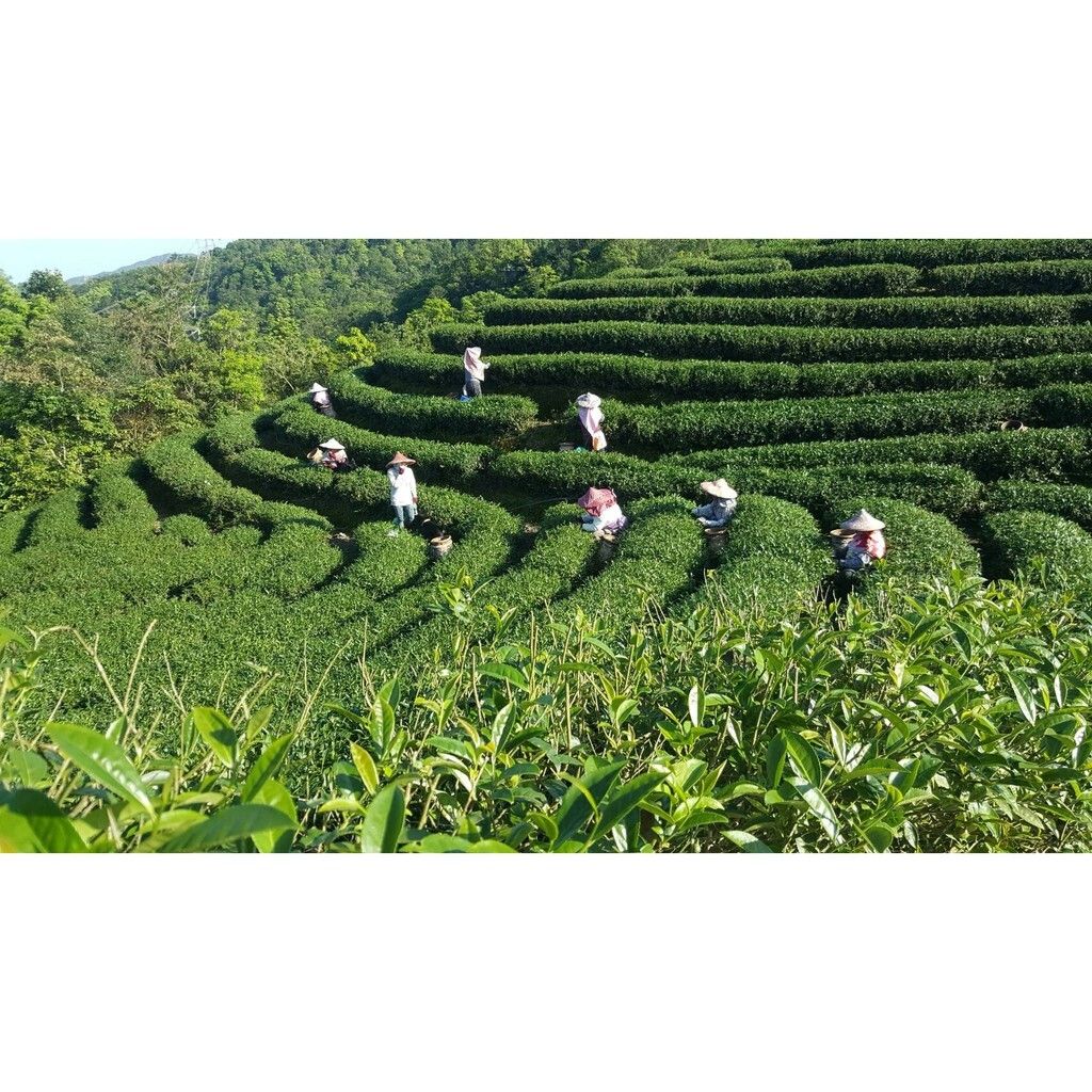 892d383d88e406f9f2df98b57092a6db